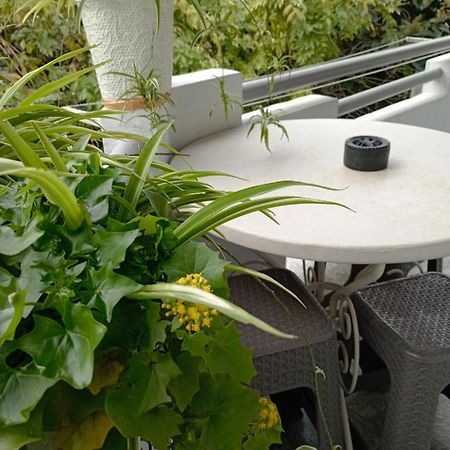 Guesthouse Next To Beach 바투미 외부 사진